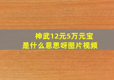 神武12元5万元宝是什么意思呀图片视频