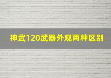 神武120武器外观两种区别