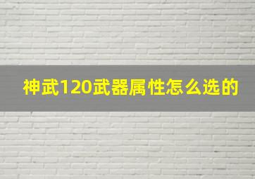 神武120武器属性怎么选的