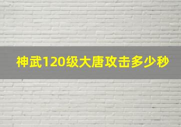 神武120级大唐攻击多少秒