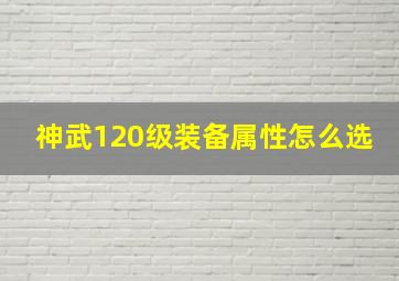 神武120级装备属性怎么选