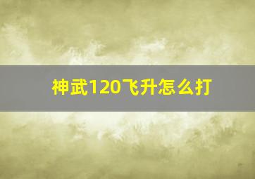 神武120飞升怎么打