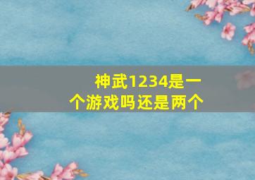 神武1234是一个游戏吗还是两个