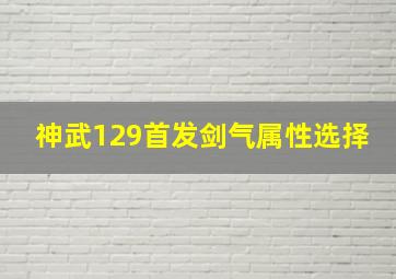 神武129首发剑气属性选择