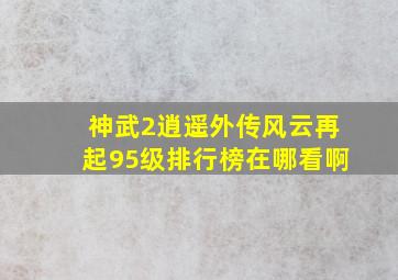 神武2逍遥外传风云再起95级排行榜在哪看啊