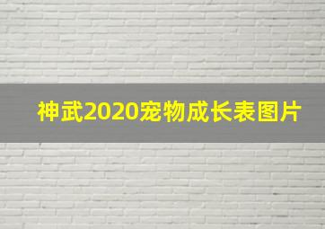 神武2020宠物成长表图片