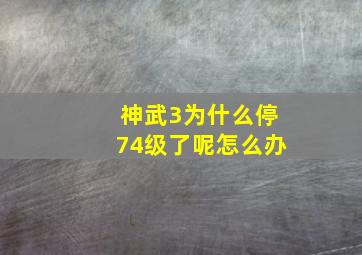 神武3为什么停74级了呢怎么办