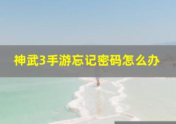 神武3手游忘记密码怎么办