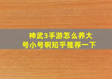 神武3手游怎么养大号小号啊知乎推荐一下