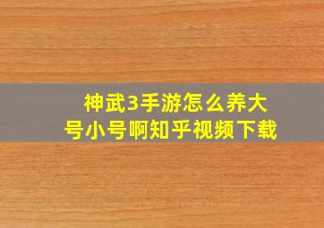 神武3手游怎么养大号小号啊知乎视频下载