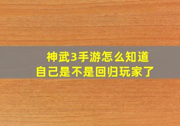 神武3手游怎么知道自己是不是回归玩家了