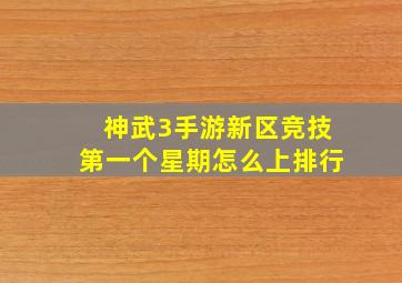 神武3手游新区竞技第一个星期怎么上排行