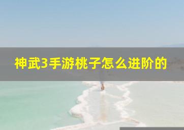 神武3手游桃子怎么进阶的