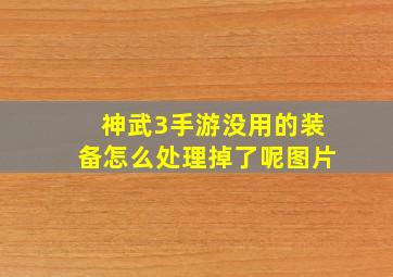 神武3手游没用的装备怎么处理掉了呢图片