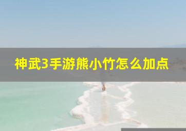 神武3手游熊小竹怎么加点