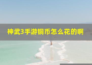 神武3手游铜币怎么花的啊