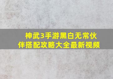 神武3手游黑白无常伙伴搭配攻略大全最新视频