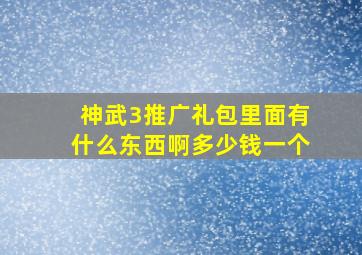 神武3推广礼包里面有什么东西啊多少钱一个