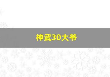 神武30大爷