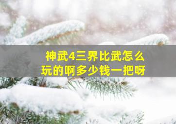 神武4三界比武怎么玩的啊多少钱一把呀