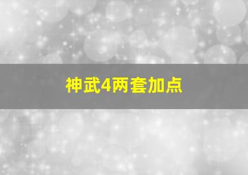 神武4两套加点