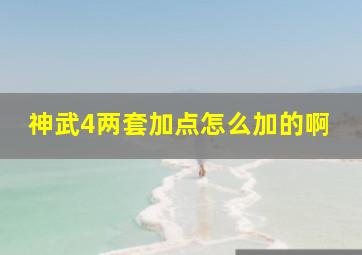 神武4两套加点怎么加的啊