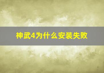 神武4为什么安装失败