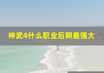 神武4什么职业后期最强大