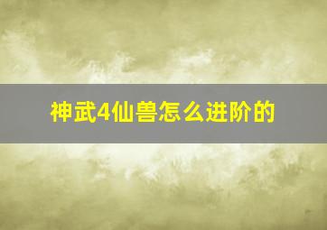 神武4仙兽怎么进阶的