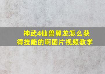 神武4仙兽翼龙怎么获得技能的啊图片视频教学