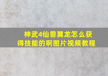 神武4仙兽翼龙怎么获得技能的啊图片视频教程