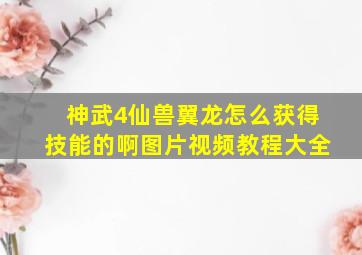 神武4仙兽翼龙怎么获得技能的啊图片视频教程大全