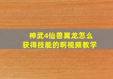 神武4仙兽翼龙怎么获得技能的啊视频教学