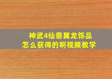 神武4仙兽翼龙饰品怎么获得的啊视频教学