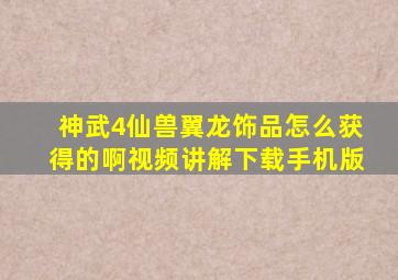 神武4仙兽翼龙饰品怎么获得的啊视频讲解下载手机版