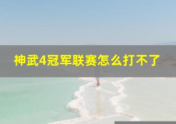 神武4冠军联赛怎么打不了