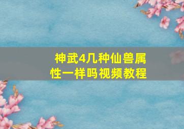 神武4几种仙兽属性一样吗视频教程