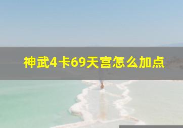 神武4卡69天宫怎么加点