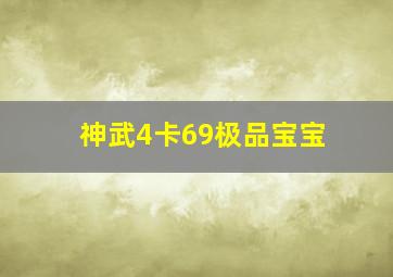 神武4卡69极品宝宝