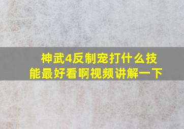 神武4反制宠打什么技能最好看啊视频讲解一下