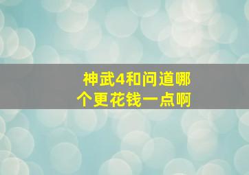 神武4和问道哪个更花钱一点啊