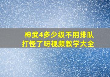 神武4多少级不用排队打怪了呀视频教学大全