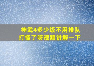 神武4多少级不用排队打怪了呀视频讲解一下