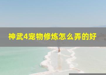 神武4宠物修炼怎么弄的好