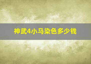 神武4小马染色多少钱