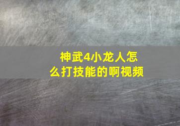 神武4小龙人怎么打技能的啊视频