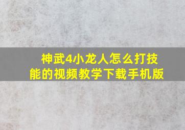 神武4小龙人怎么打技能的视频教学下载手机版