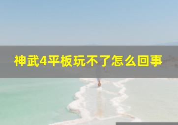 神武4平板玩不了怎么回事