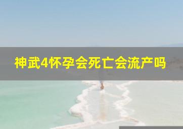 神武4怀孕会死亡会流产吗