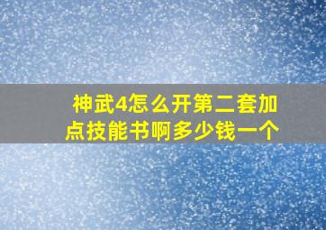 神武4怎么开第二套加点技能书啊多少钱一个